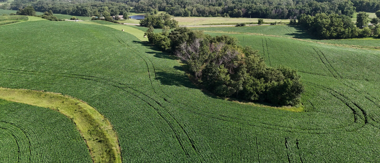 DJI 20260707093244 0031 D