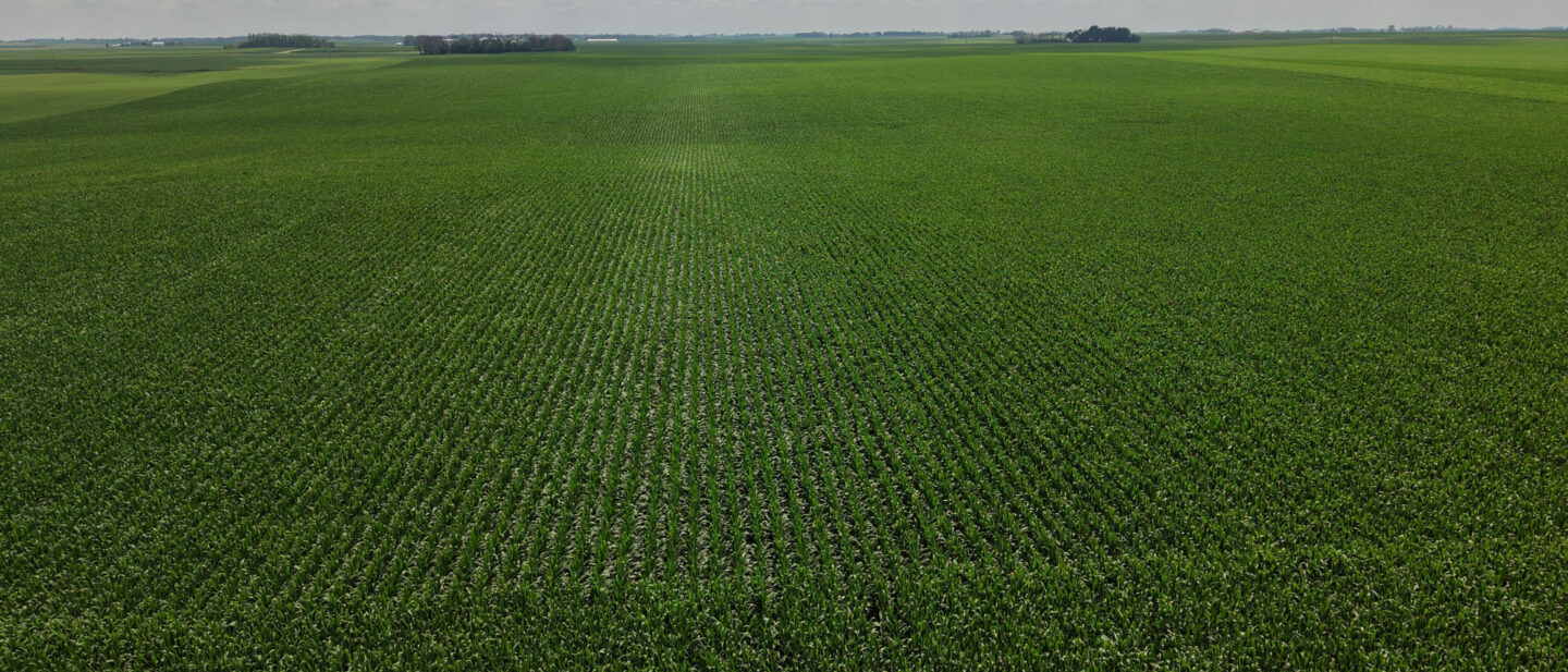 DJI 20260707140759 0023 D