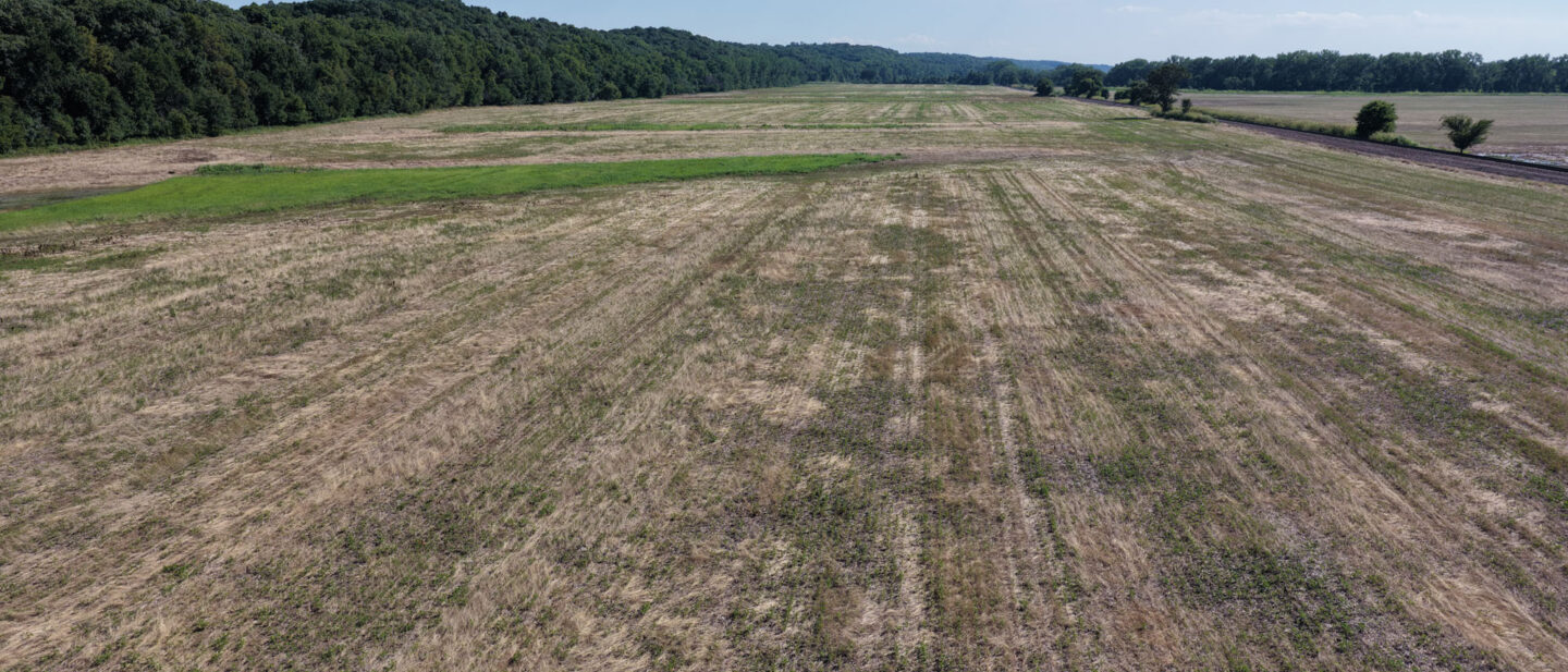 DJI 20260712165954 0088 D