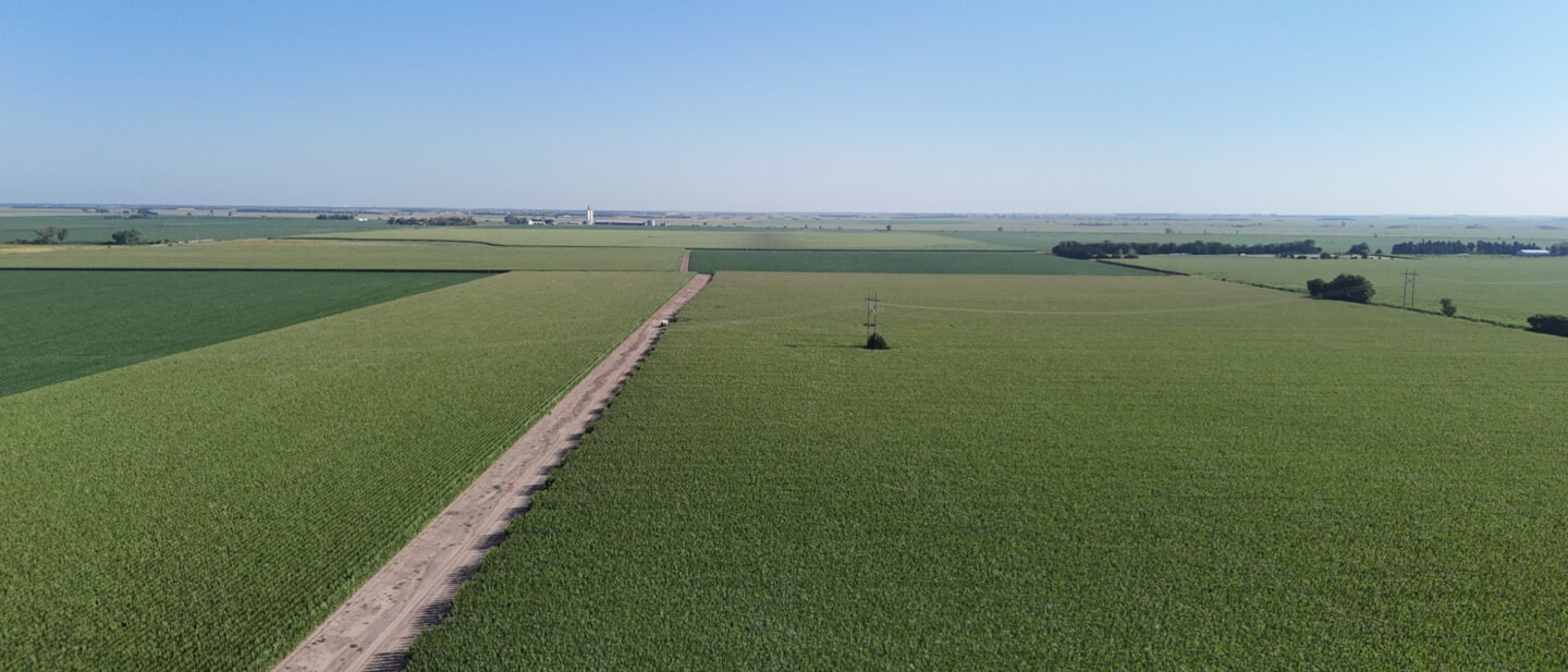 DJI 20260714090134 0373 D