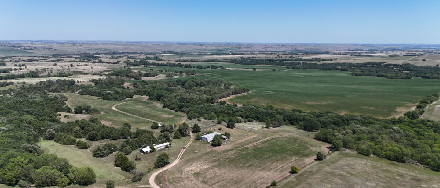 DJI 20260714135503 0447 D