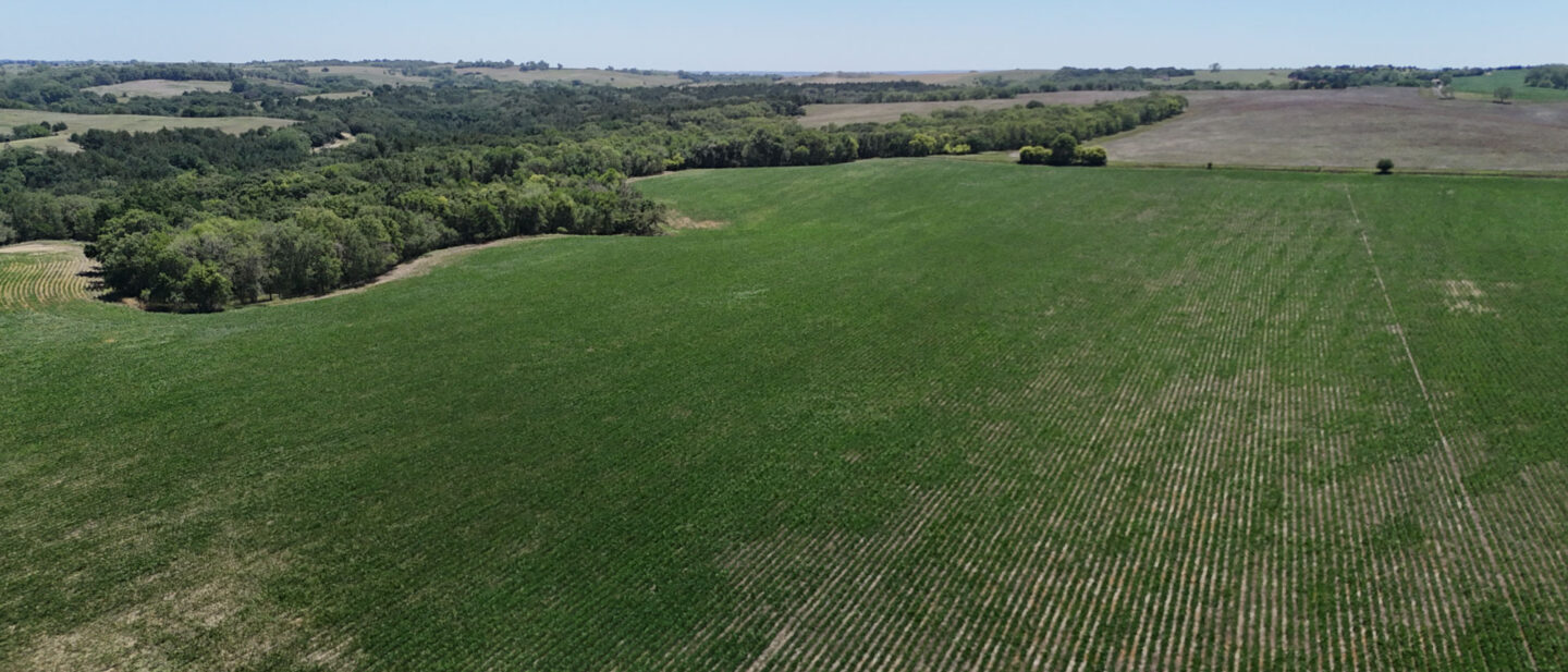 DJI 20260714135925 0461 D