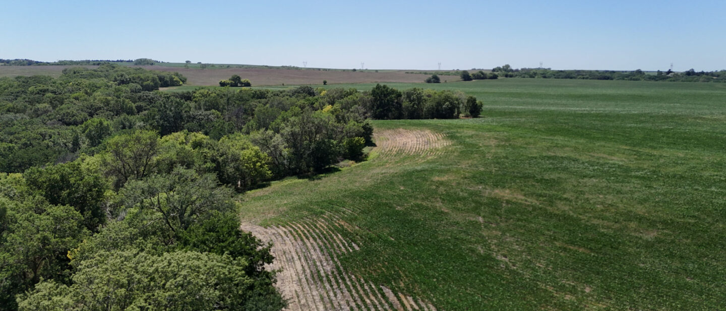 DJI 20260714140020 0463 D