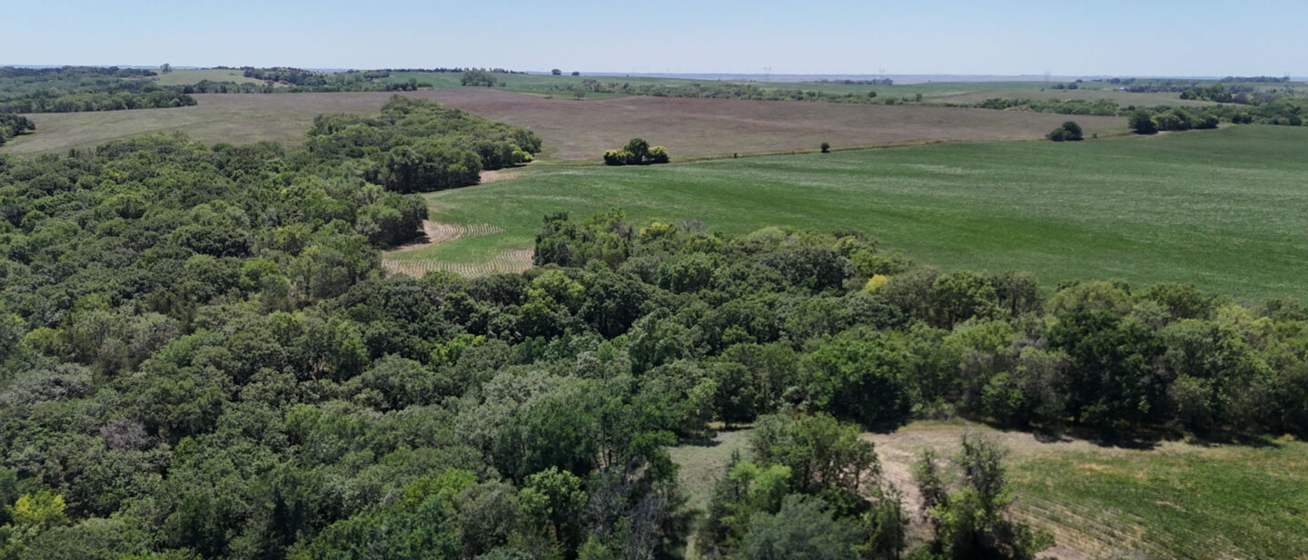 DJI 20260714140052 0465 D