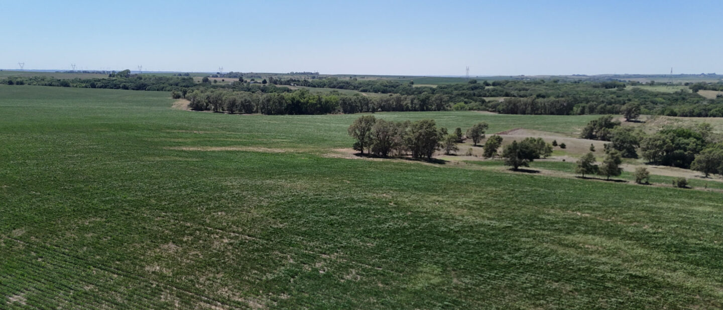 DJI 20260714140415 0476 D