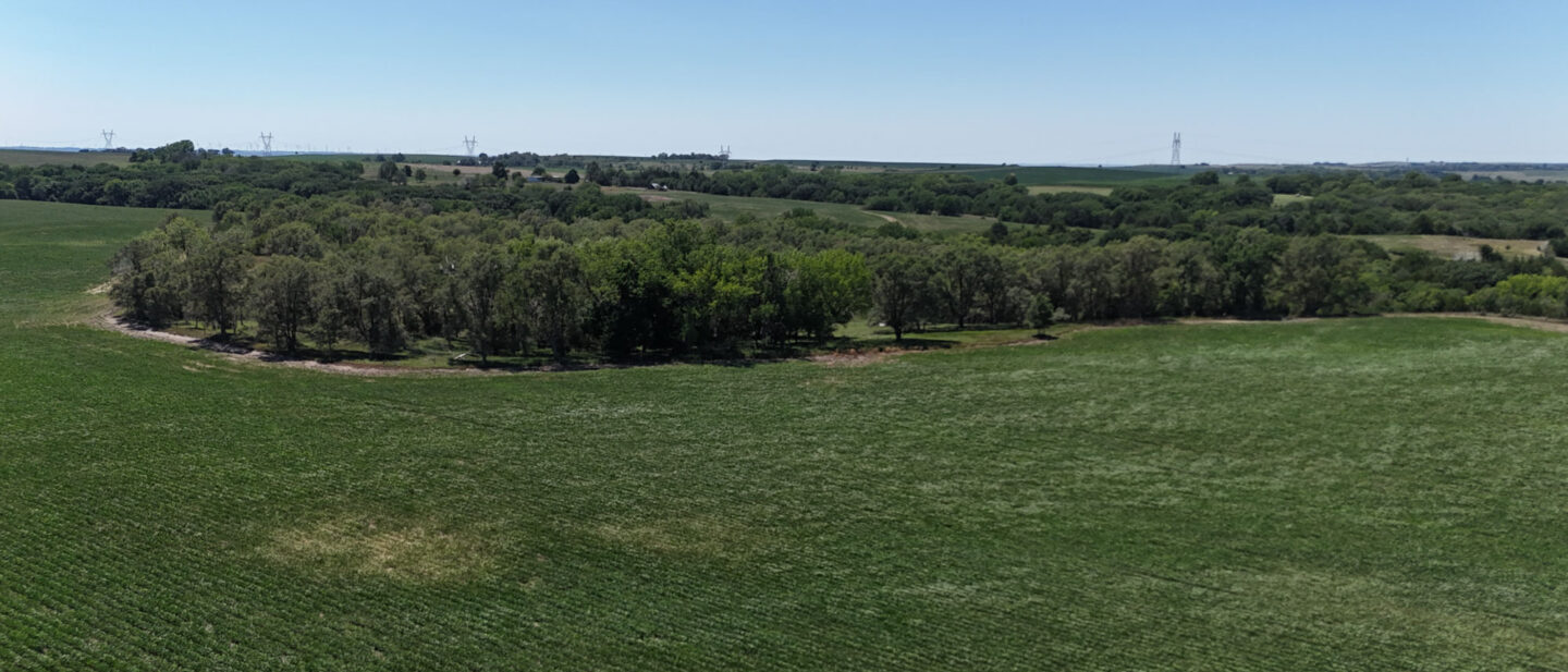 DJI 20260714140443 0479 D