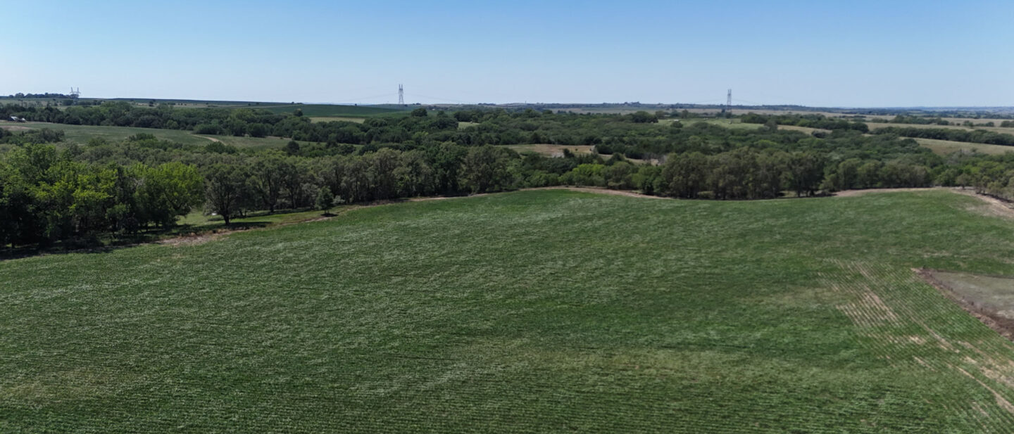 DJI 20260714140446 0480 D