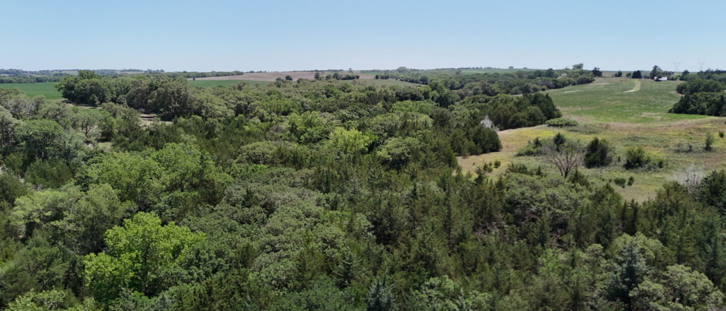 DJI 20260714140602 0484 D