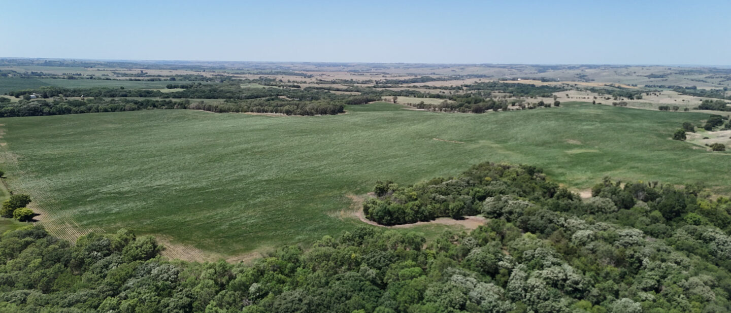 DJI 20260714141138 0504 D
