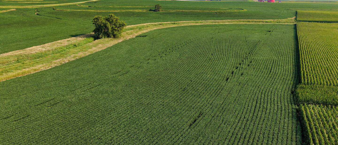 DJI 20260725175536 0098 D