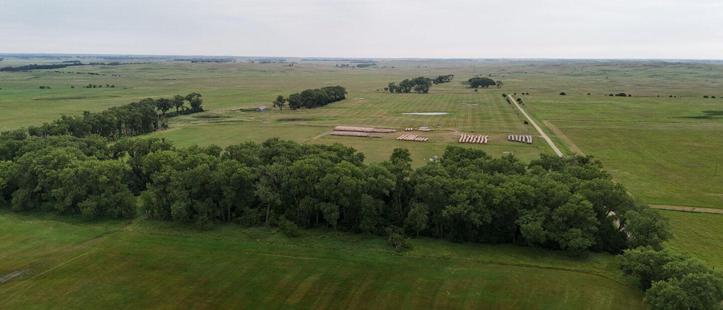 DJI 20260804155707 0058 D