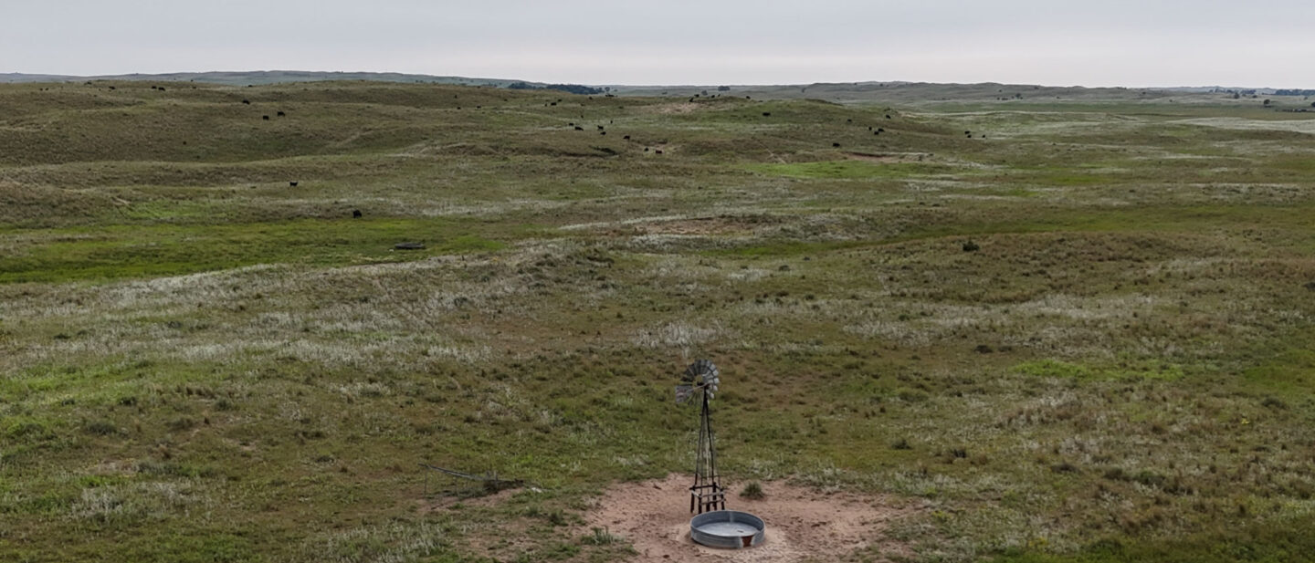 DJI 20260804161012 0102 D