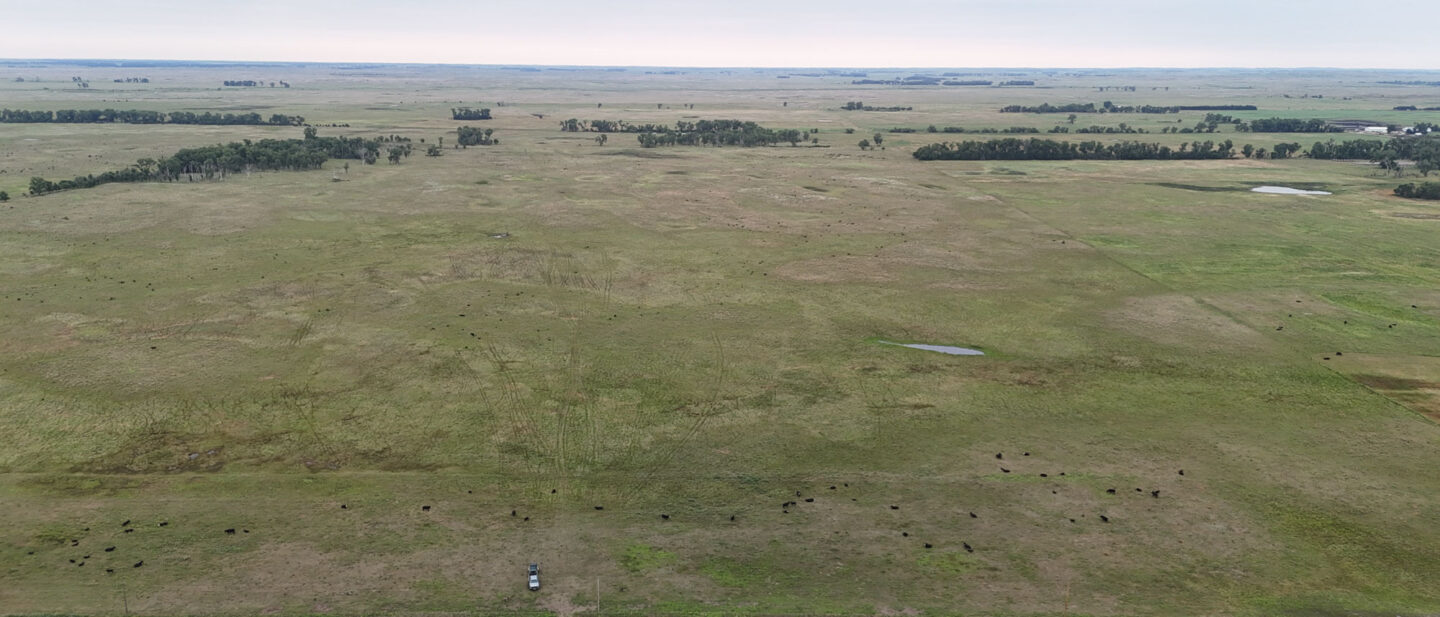 DJI 20260804162922 0112 D