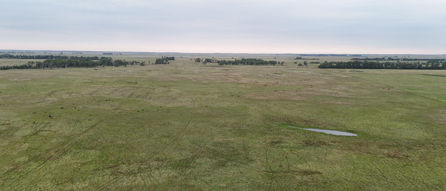 DJI 20260804162951 0113 D