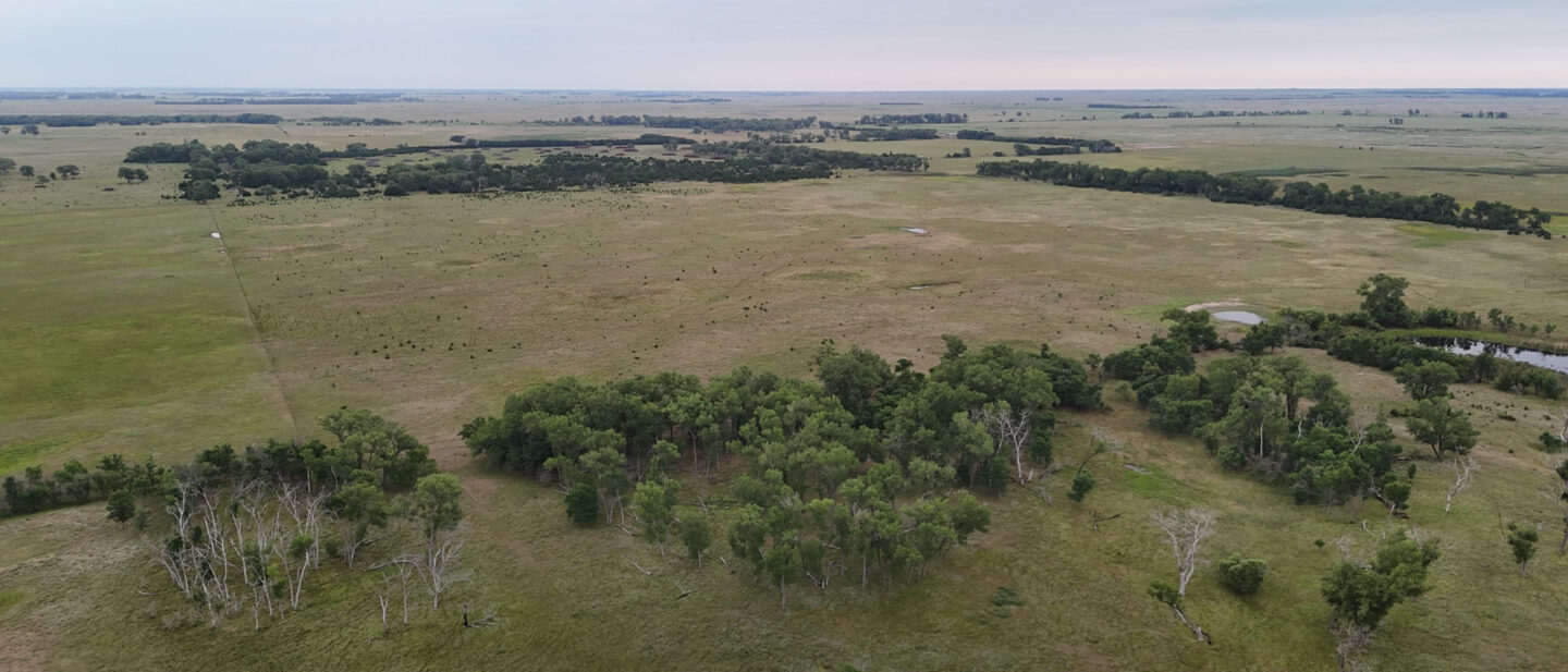 DJI 20260804163205 0120 D