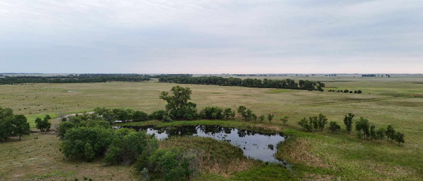DJI 20260804163320 0124 D