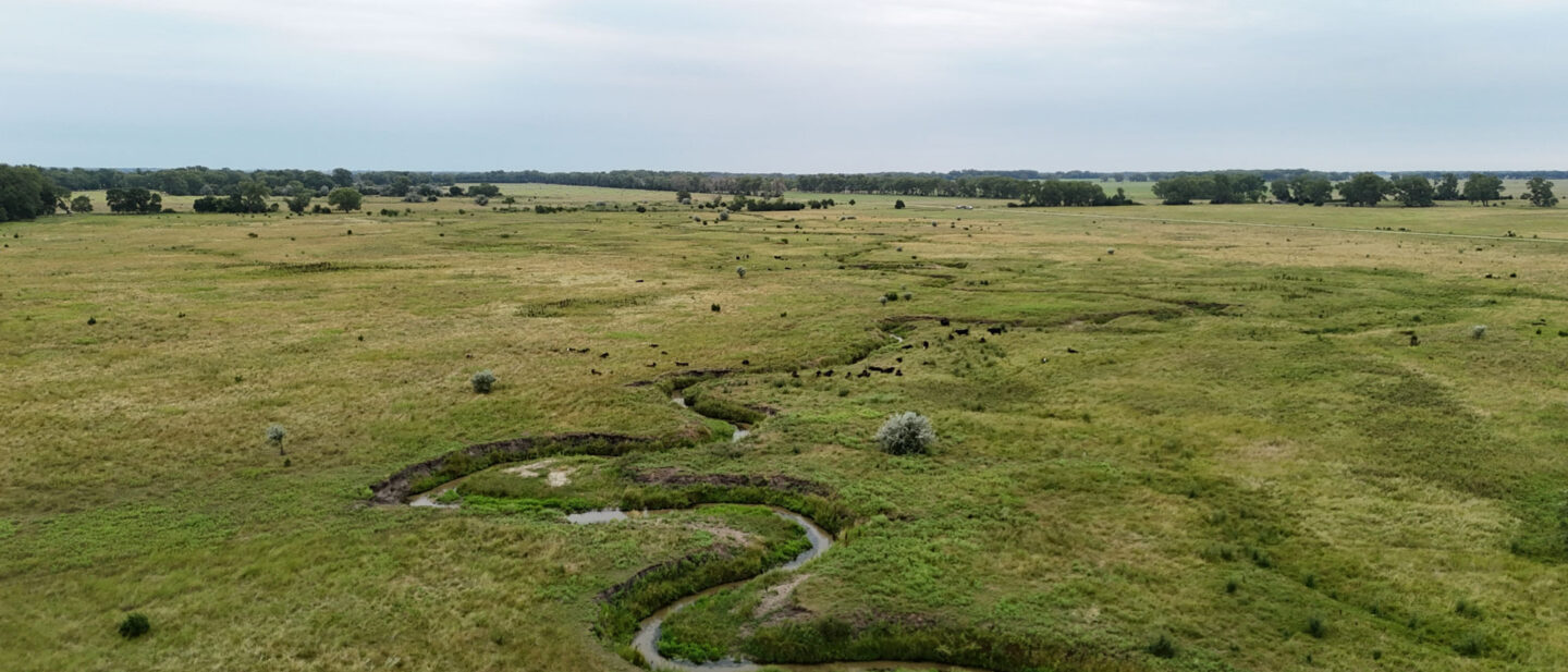 DJI 20260804170126 0155 D