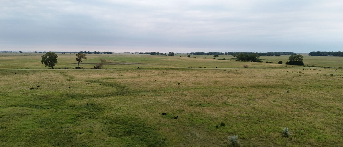 DJI 20260804170248 0161 D