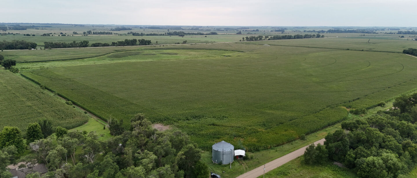 DJI 20260804184446 0166 D