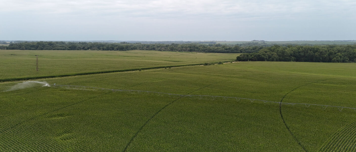 DJI 20260804184806 0180 D