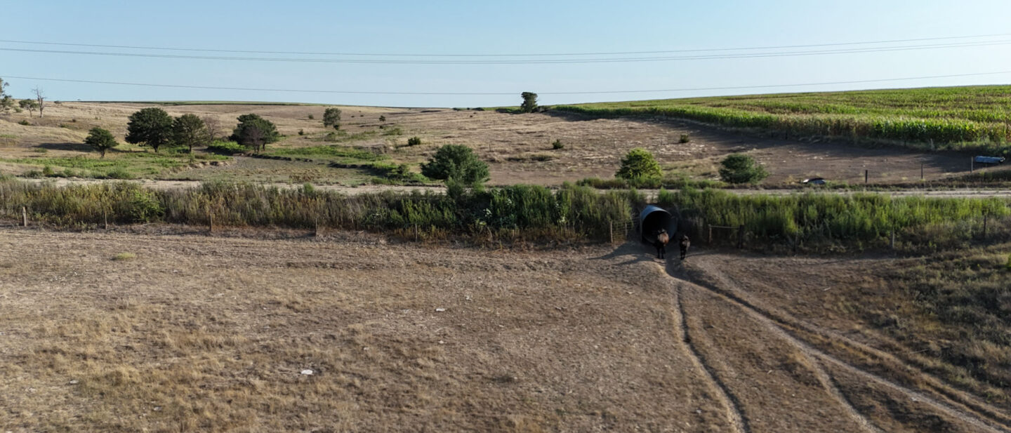 DJI 20260813084548 0240 D