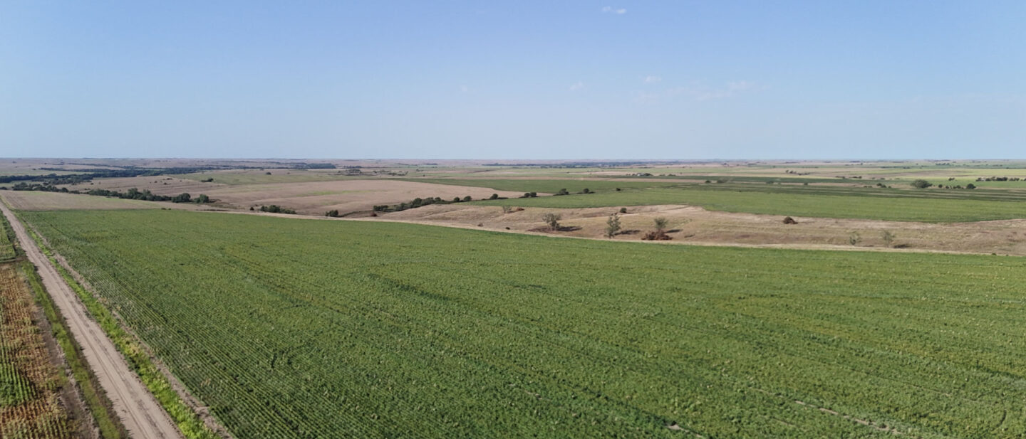 DJI 20260813093107 0270 D