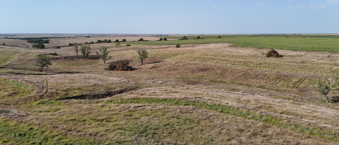 DJI 20260813093606 0287 D