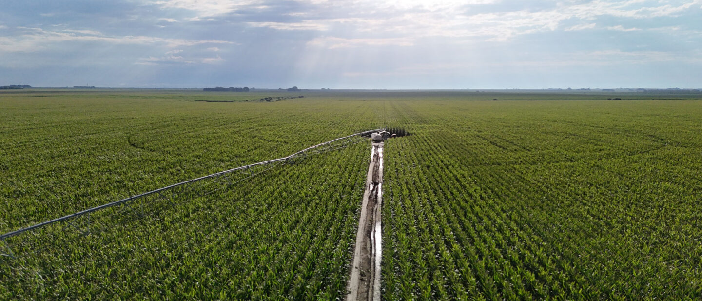 DJI 20260818084949 0341 D