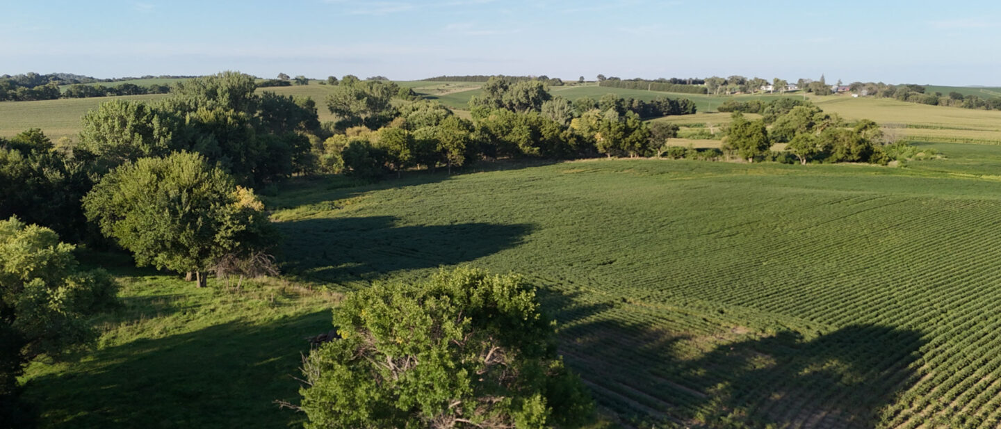 DJI 20260826185235 0009 D