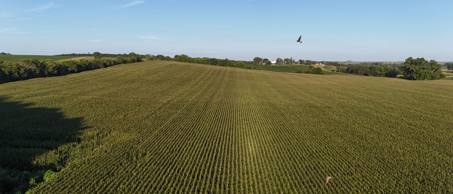 DJI 20260826185435 0020 D