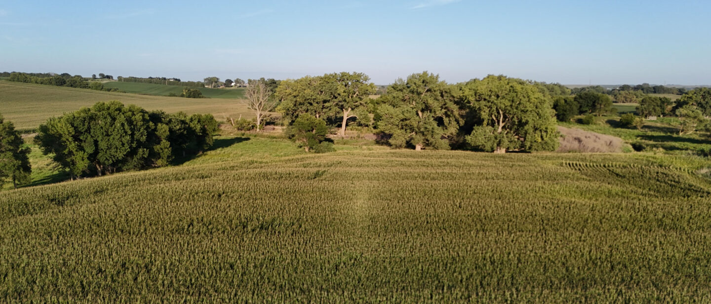 DJI 20260826190437 0061 D