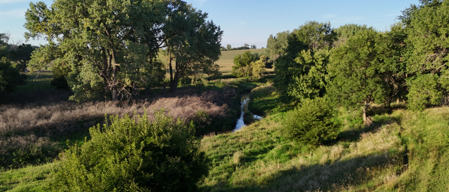 DJI 20260826190608 0070 D