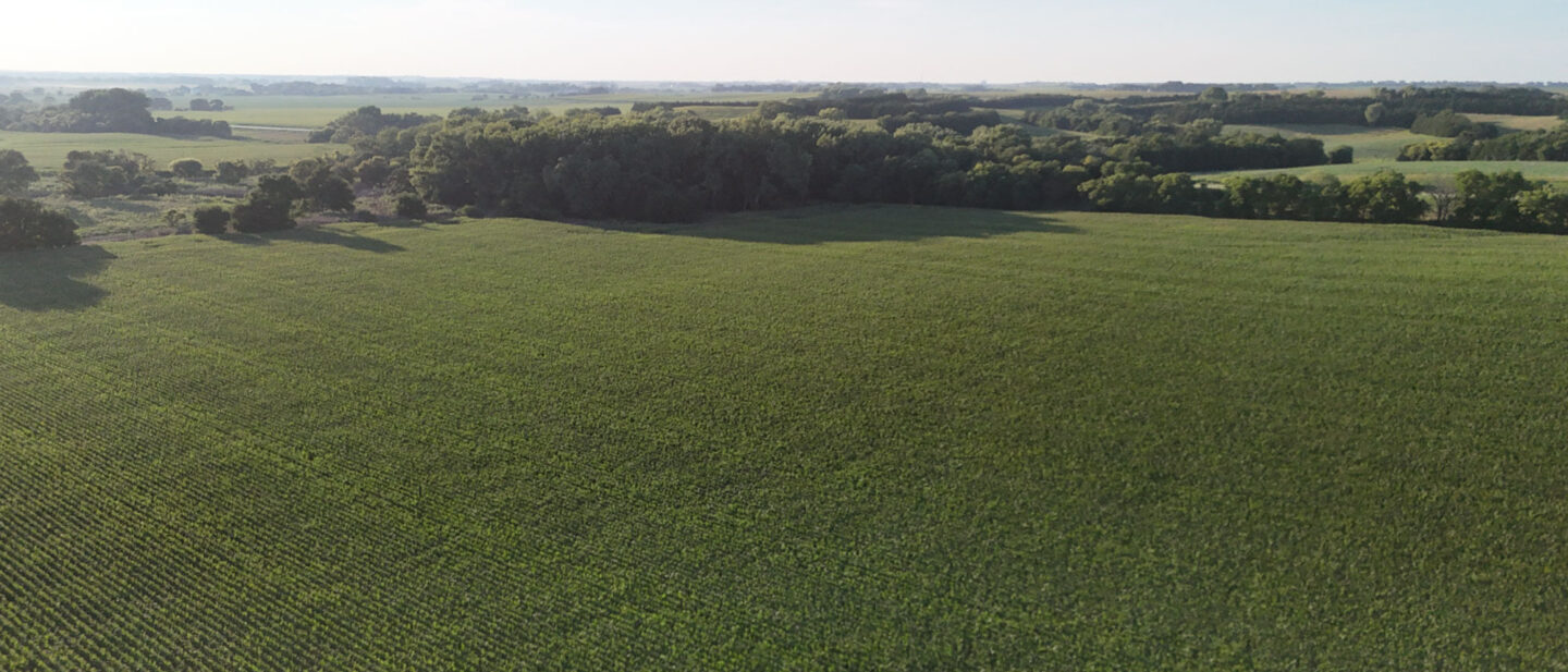 DJI 20260826191107 0080 D