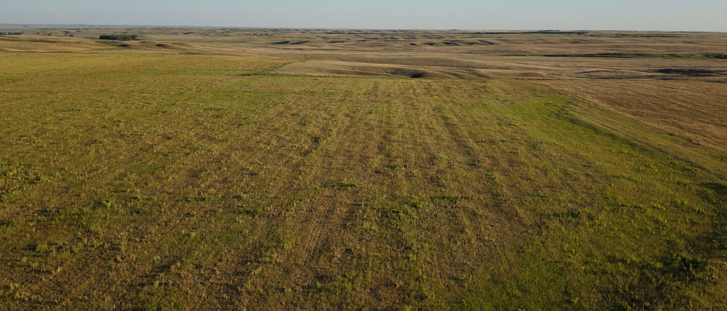DJI 20260902183926 0437 D