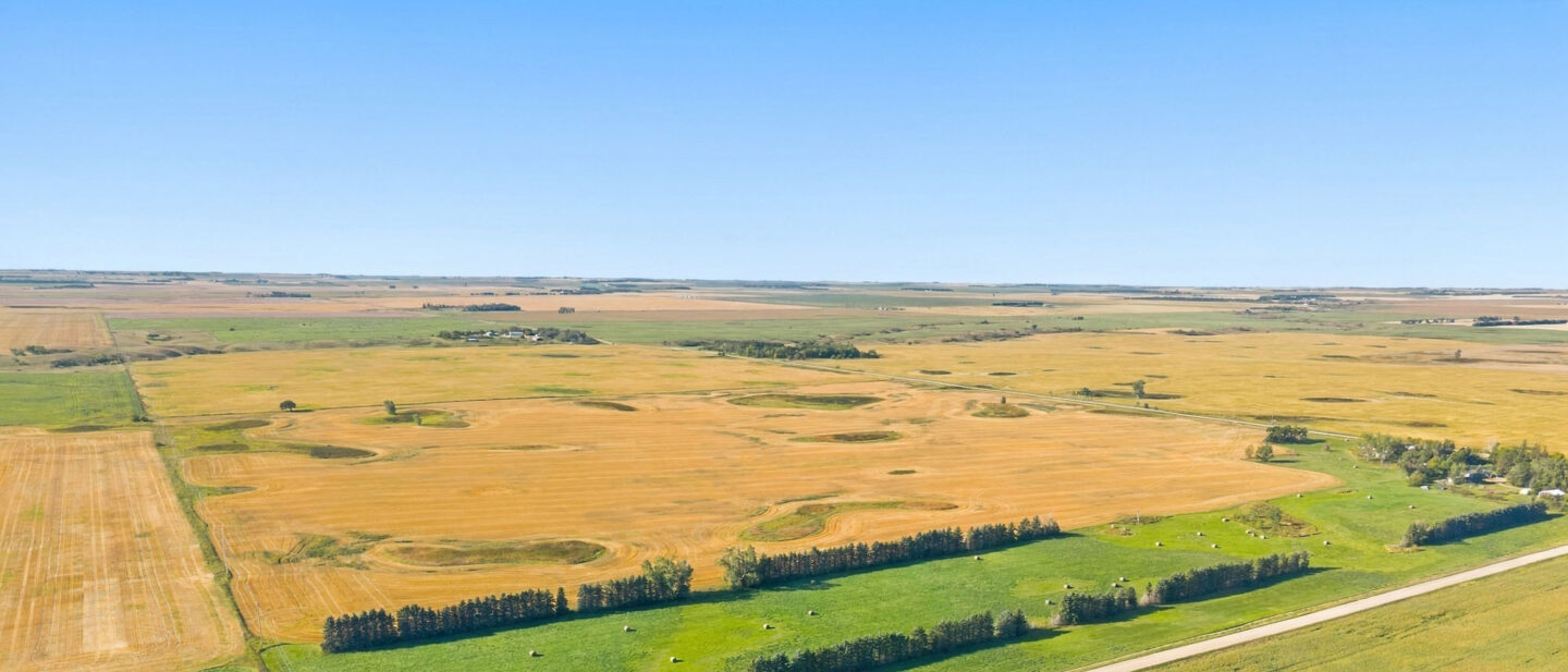 DJI 20260910095605 0650 D