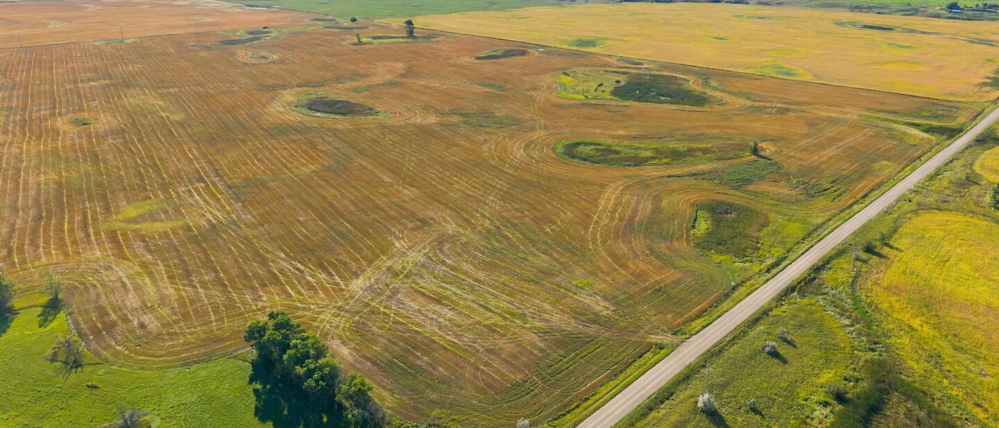 DJI 20260910095850 0654 D