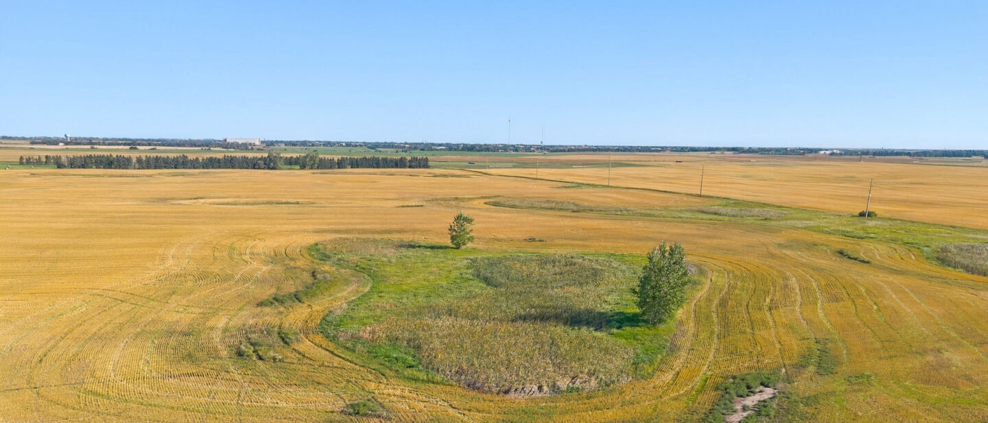 DJI 20260910100221 0659 D
