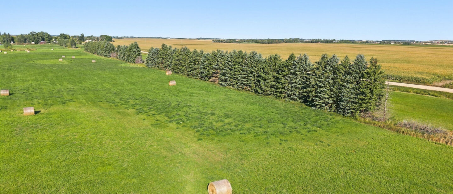 DJI 20260910101335 0672 D