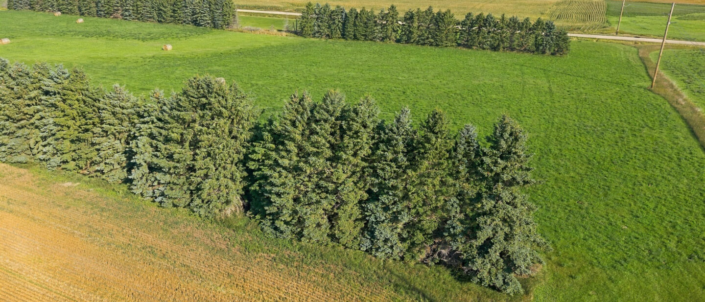 DJI 20260910101358 0673 D