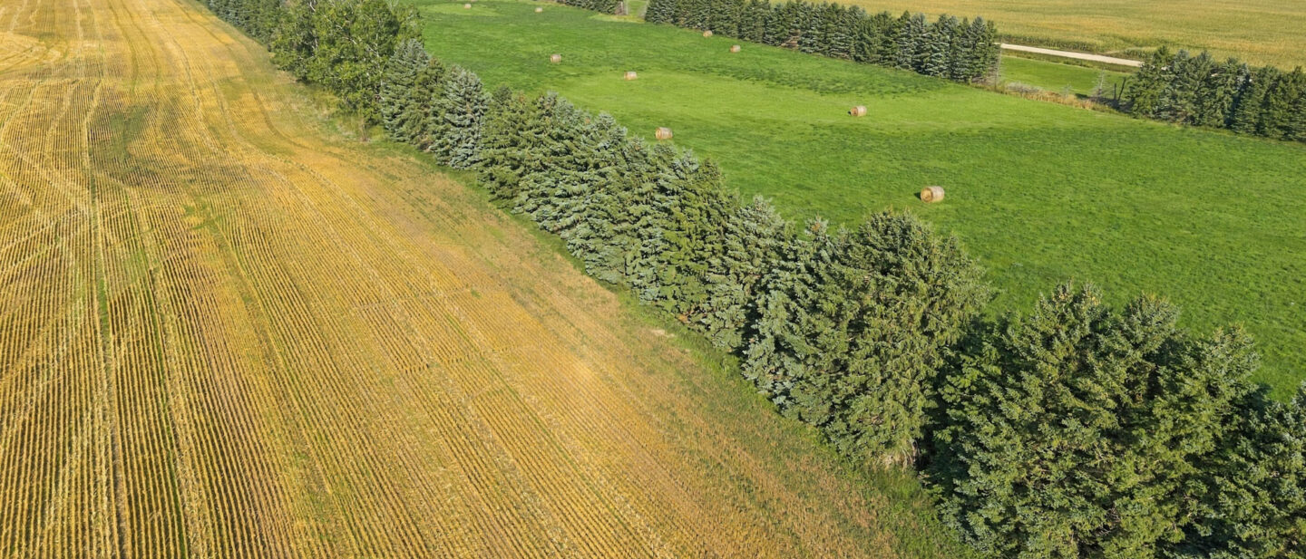 DJI 20260910101402 0674 D