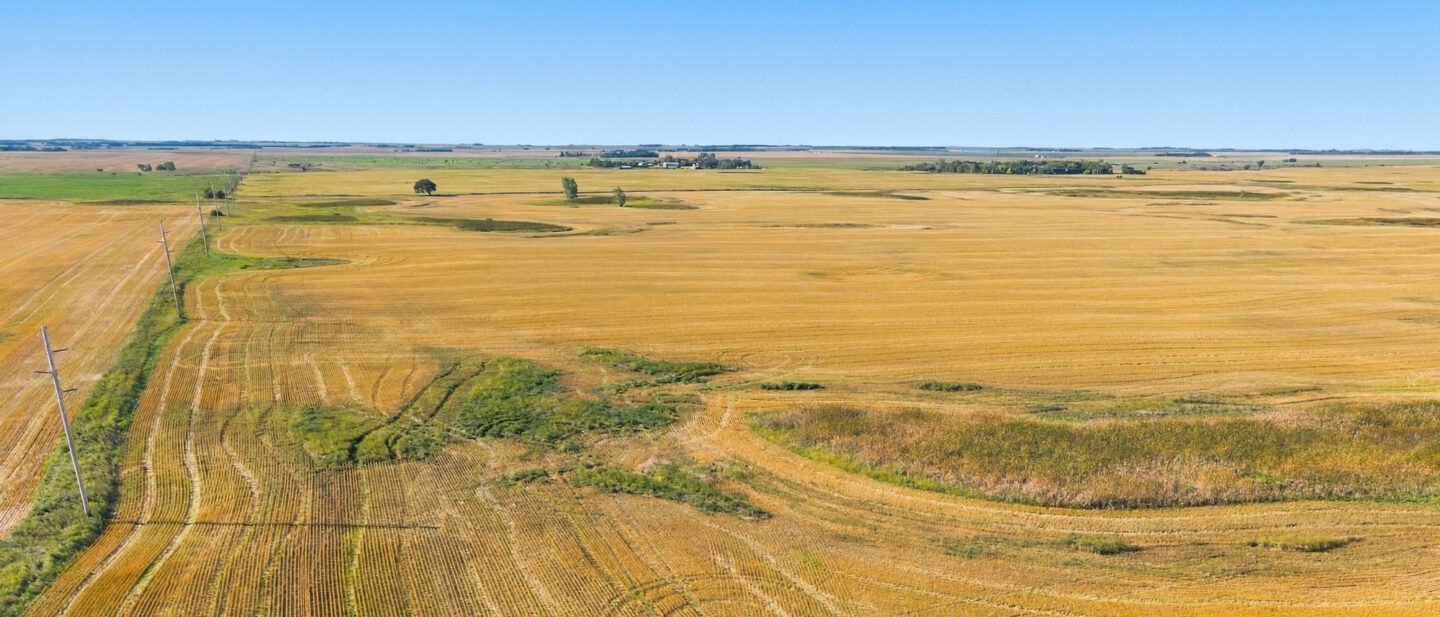 DJI 20260910101422 0675 D
