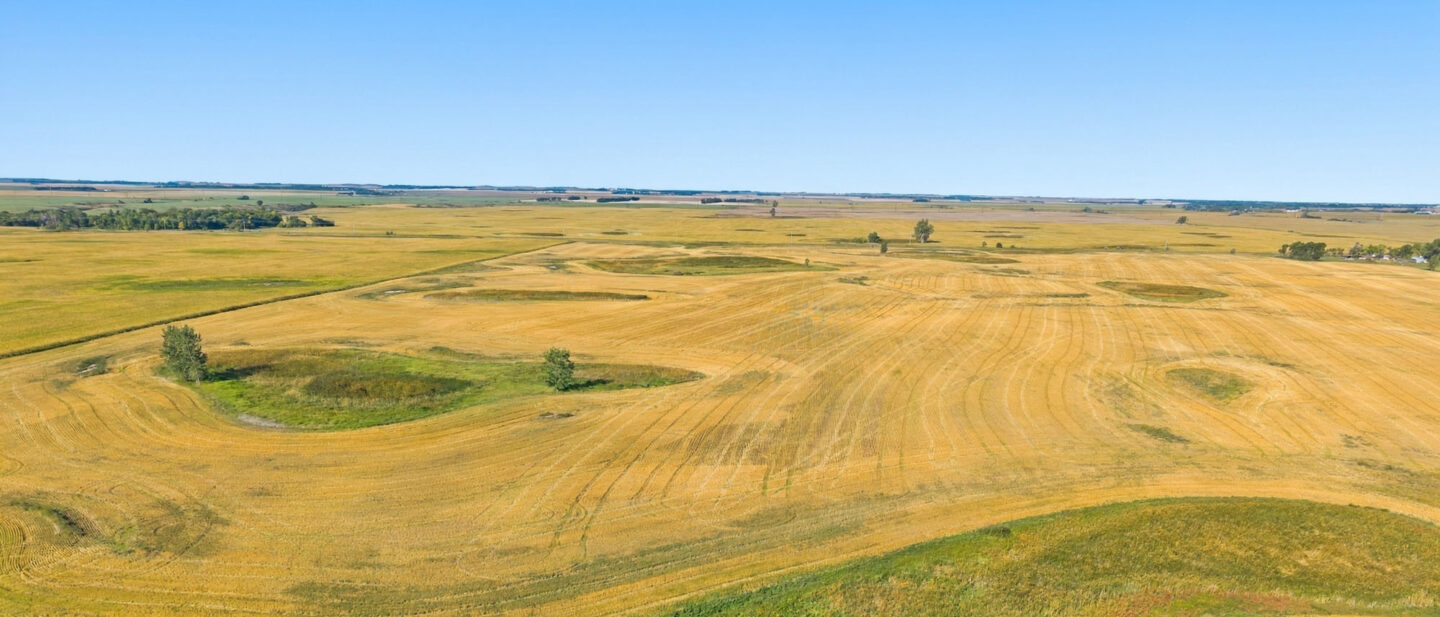 DJI 20260910101626 0679 D