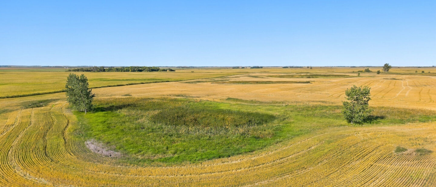 DJI 20260910101734 0681 D