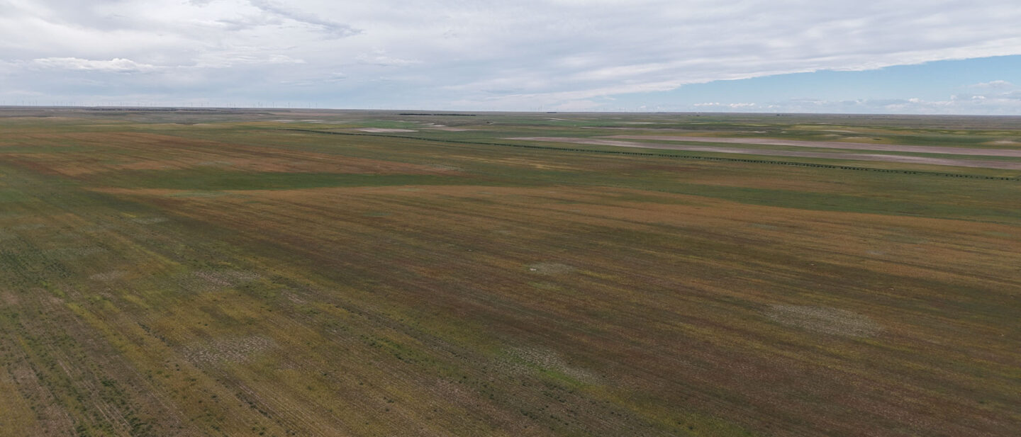 DJI 20260914111929 0471 D