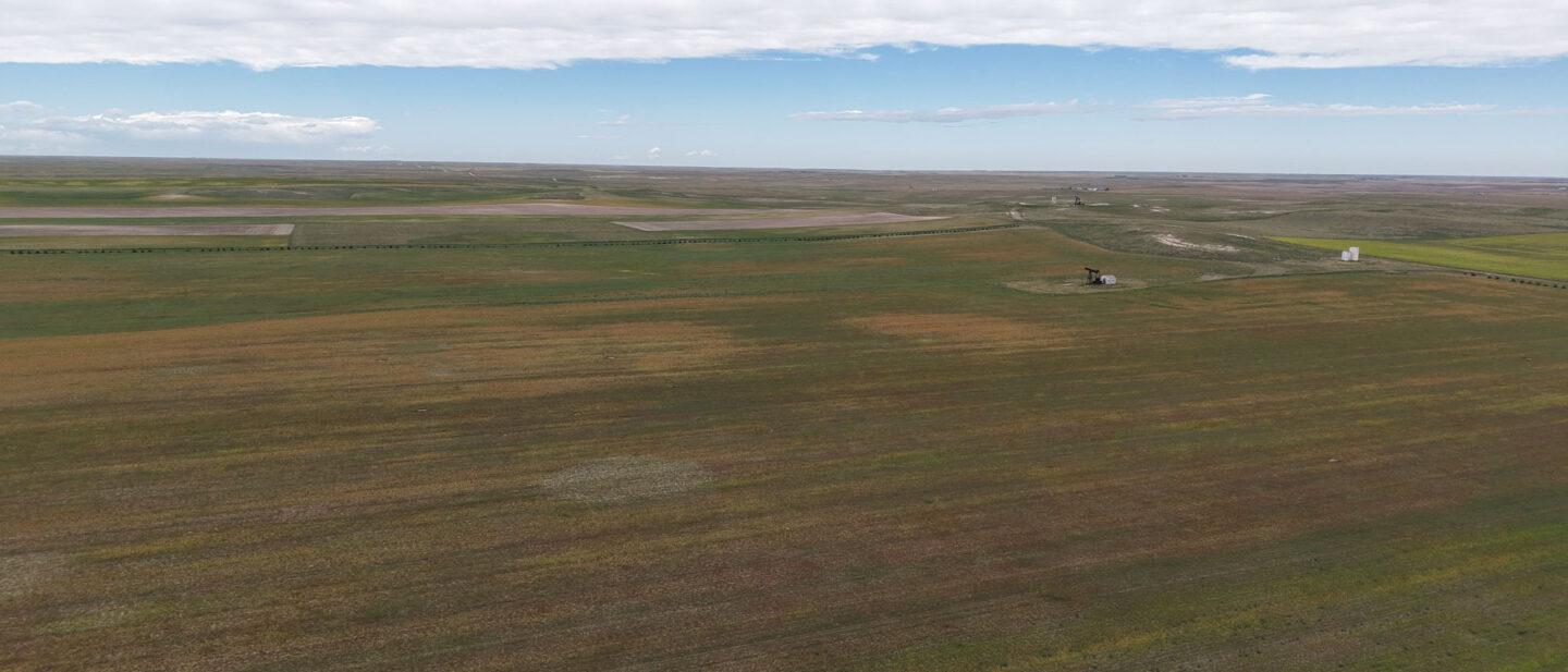 DJI 20260914111939 0473 D