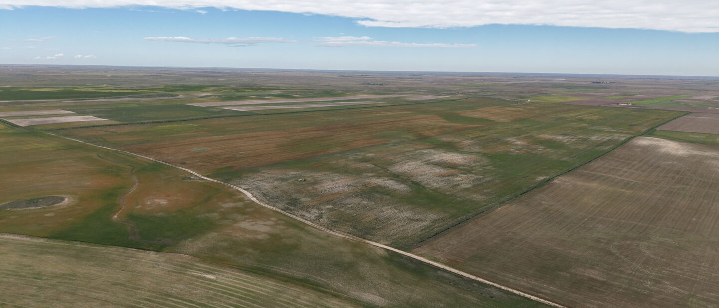 DJI 20260914112110 0474 D