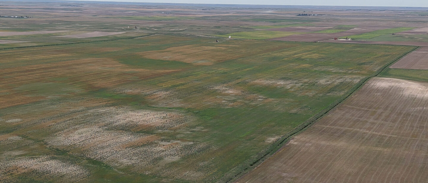 DJI 20260914112134 0476 D