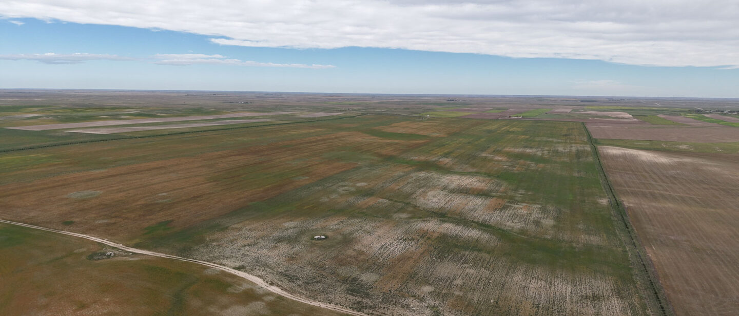 DJI 20260914112200 0478 D
