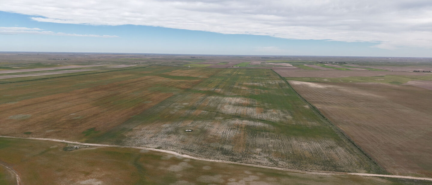 DJI 20260914112206 0479 D