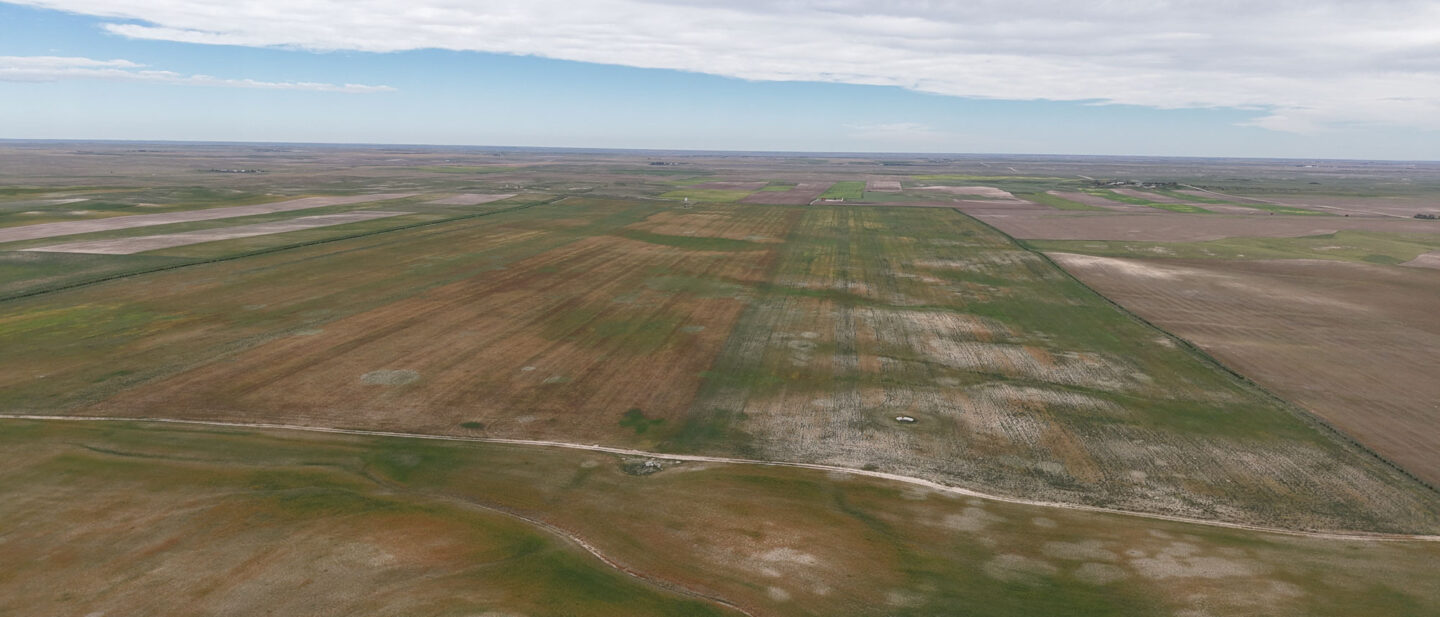 DJI 20260914112215 0480 D